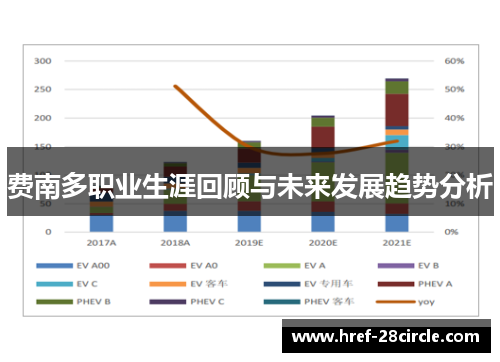 费南多职业生涯回顾与未来发展趋势分析 费南多职业生涯回顾与未来发展趋势分析