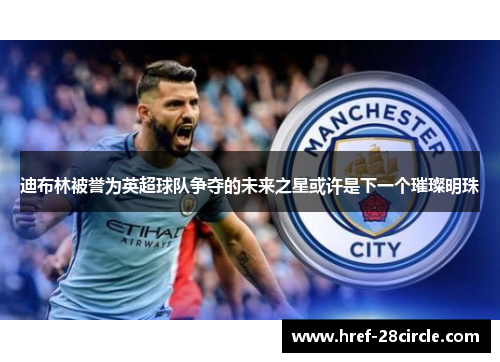 迪布林被誉为英超球队争夺的未来之星或许是下一个璀璨明珠 迪布林被誉为英超球队争夺的未来之星或许是下一个璀璨明珠