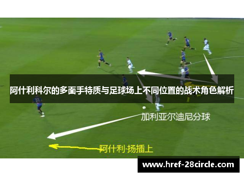 阿什利科尔的多面手特质与足球场上不同位置的战术角色解析 阿什利科尔的多面手特质与足球场上不同位置的战术角色解析